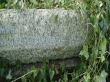 image of grave number 972931